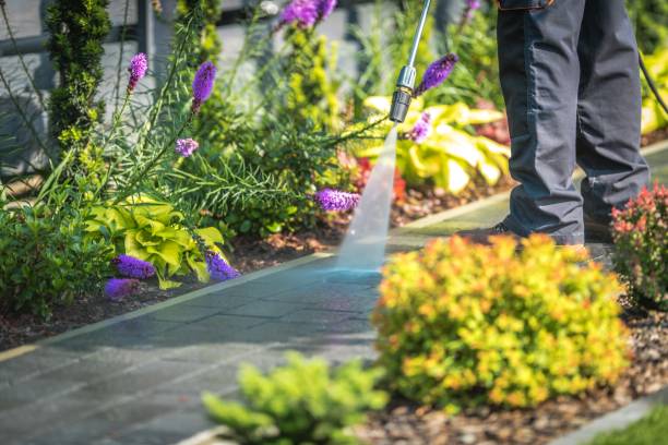  Ferndale, CA Pressure Washing Pros
