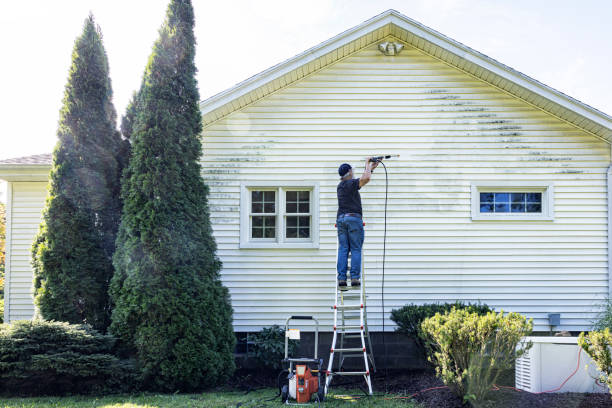 Best Warehouse Cleaning  in Ferndale, CA